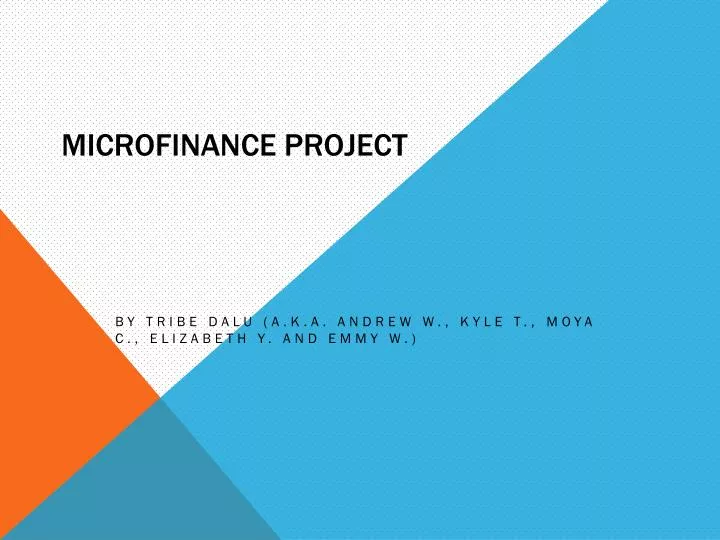 microfinance project