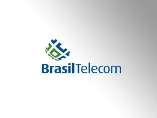 BRASIL TELECOM SERVICE VISION