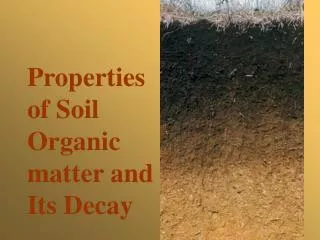 Properties of Soil Organic matter and Its Decay