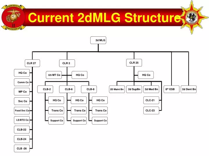 current 2dmlg structure