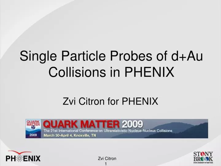 single particle probes of d au collisions in phenix