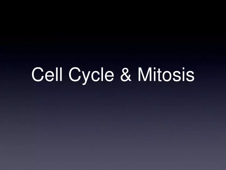 cell cycle mitosis