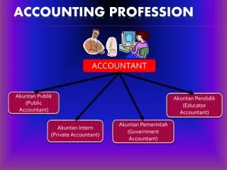Accounting profession