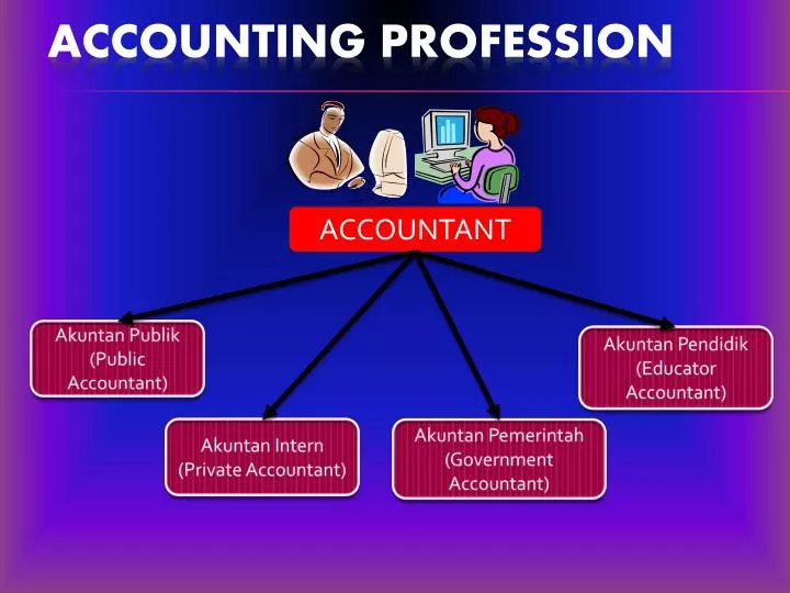 accounting profession
