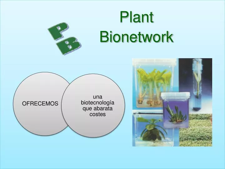 plant bionetwork