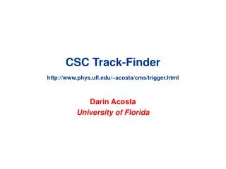 CSC Track-Finder phys.ufl/~acosta/cms/trigger.html