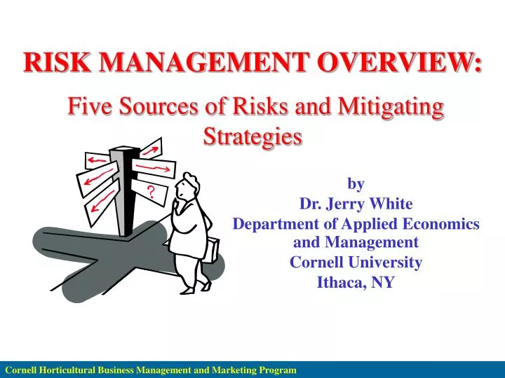 risk management overview five sources of risks and mitigating strategies
