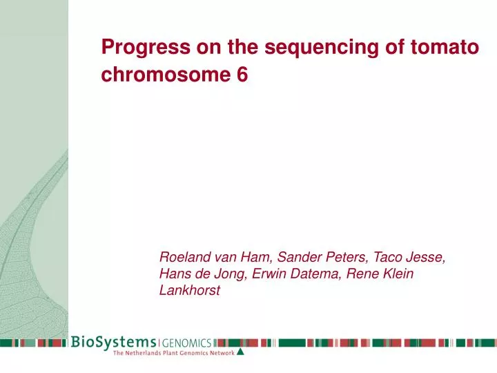 progress on the sequencing of tomato chromosome 6