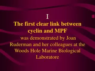 But what is the relationship between cyclins and MPF ?