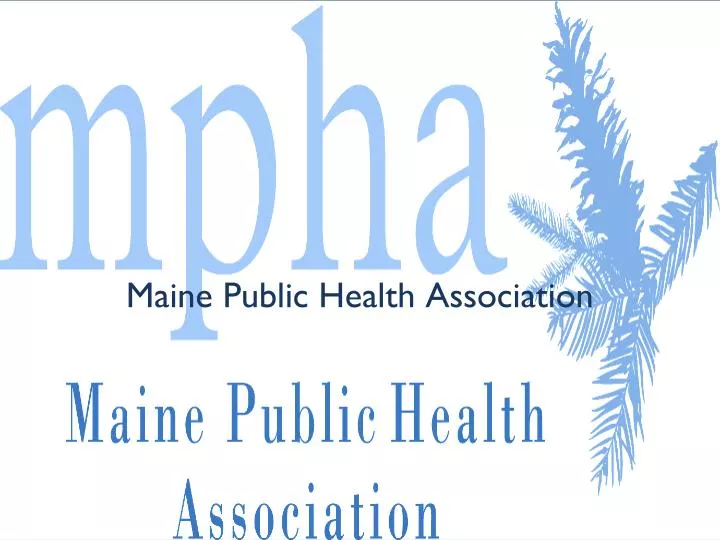 maine public health association