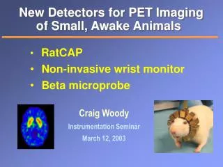 New Detectors for PET Imaging of Small, Awake Animals
