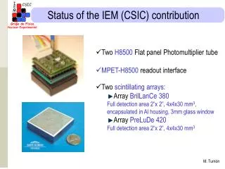 Status of the IEM (CSIC) contribution
