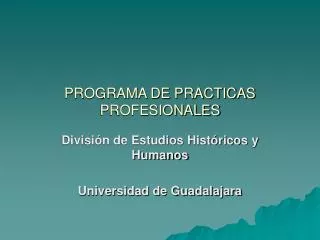 programa de practicas profesionales