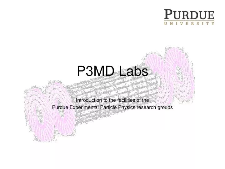 p3md labs