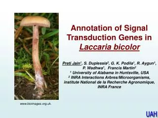 Annotation of Signal Transduction Genes in Laccaria bicolor