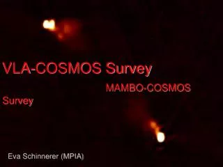 VLA-COSMOS Survey MAMBO-COSMOS Survey