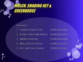 mulch shading net greenhouse