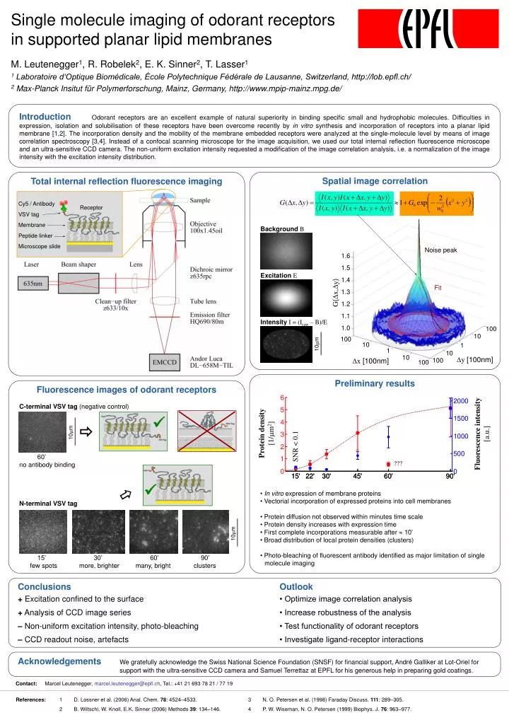 single molecule imaging of odorant receptors in supported planar lipid membranes