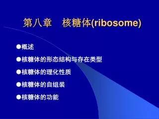 ribosome