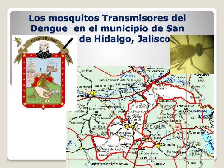 los mosquitos transmisores del dengue en el municipio de san mart n de hidalgo jalisco
