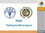 PROGRAMA ESPECIAL PARA LA SEGURIDAD ALIMENTARIA - slide 1