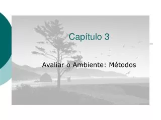 cap tulo 3
