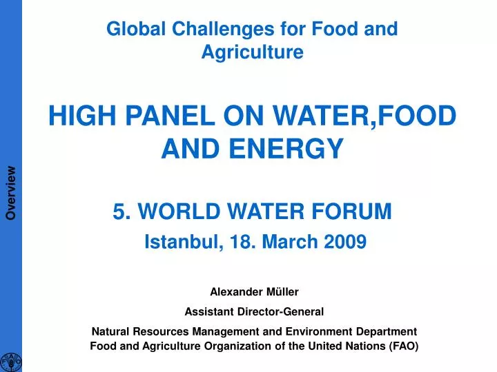 high panel on water food and energy 5 world water forum istanbul 18 march 2009