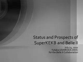 Status and Prospects of SuperKEKB and Belle II