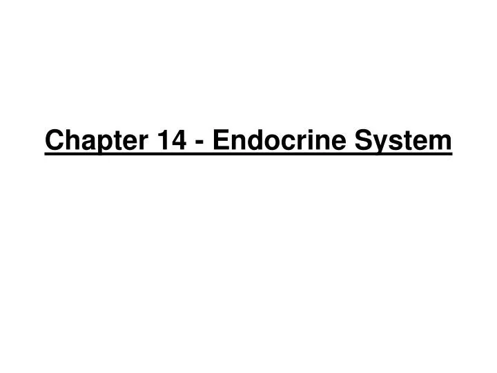 chapter 14 endocrine system