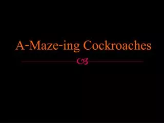 A-Maze-ing Cockroaches