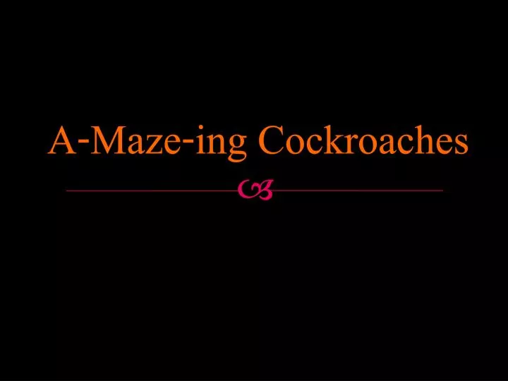 a maze ing cockroaches