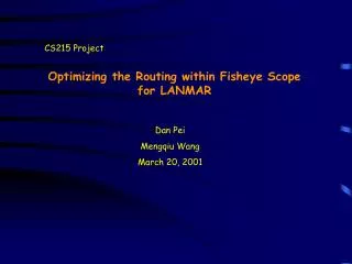 Optimizing the Routing within Fisheye Scope for LANMAR