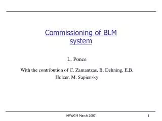 Commissioning of BLM system