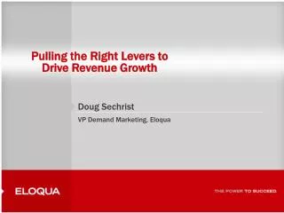 Pulling the Right Levers to Drive Revenue Growth