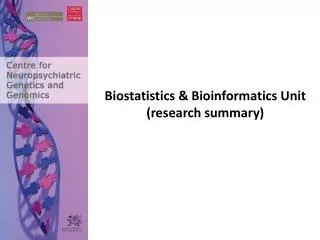 Biostatistics &amp; Bioinformatics Unit (research summary)