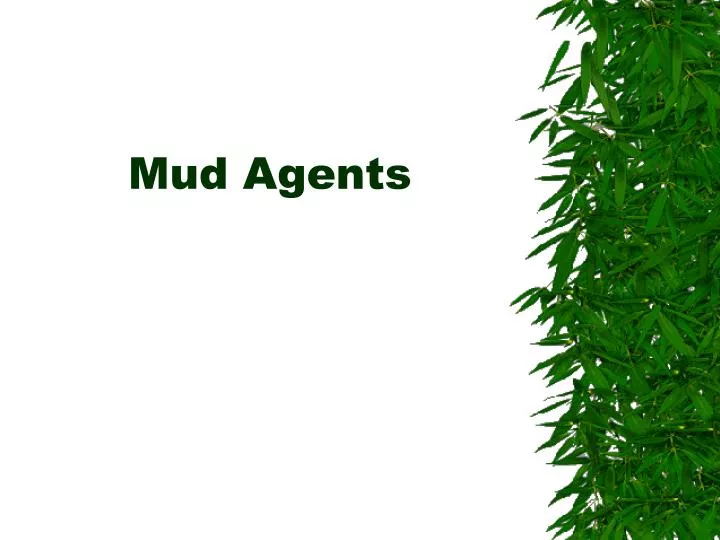 mud agents