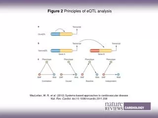 Figure 2 Principles of eQTL analysis