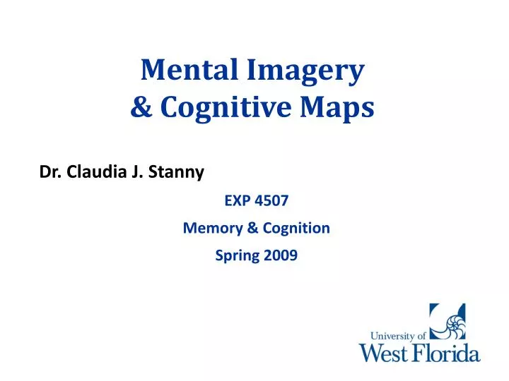 mental imagery cognitive maps