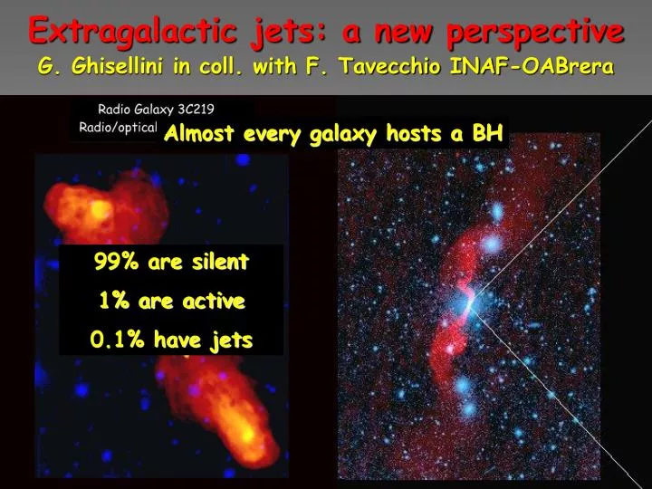 extragalactic jets a new perspective