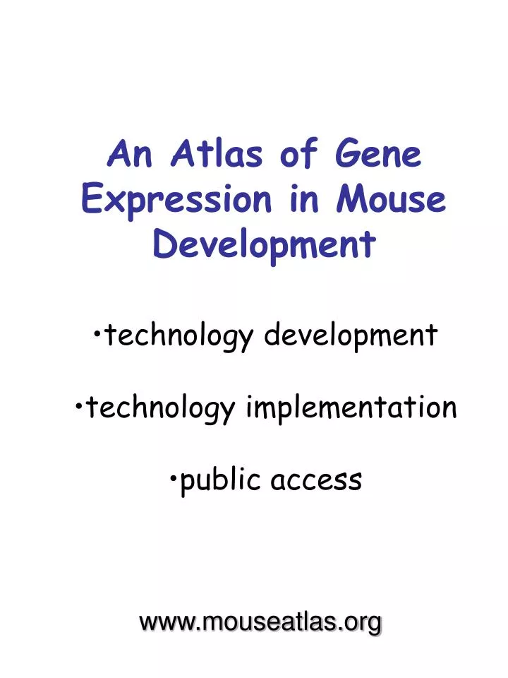 an atlas of gene expression in mouse development