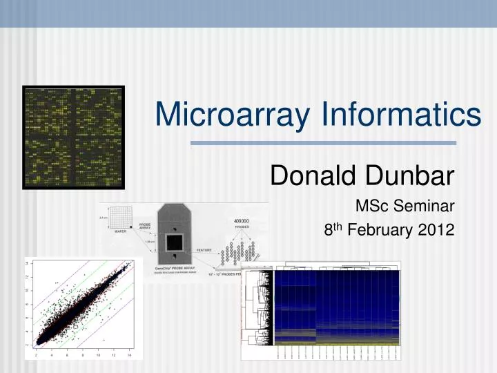 microarray informatics