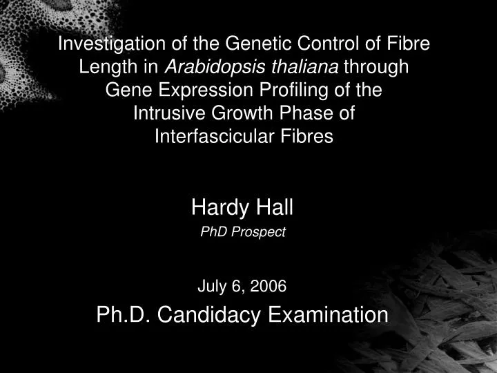 hardy hall phd prospect july 6 2006 ph d candidacy examination