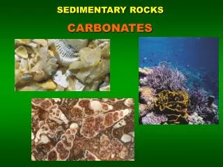 SEDIMENTARY ROCKS