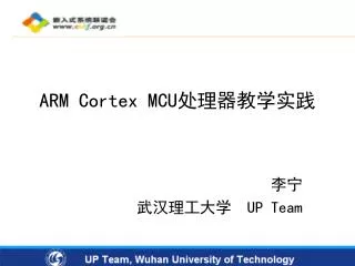 ARM Cortex MCU ???????