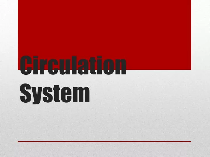 circulation system