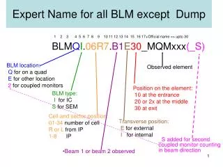 Expert Name for all BLM except Dump