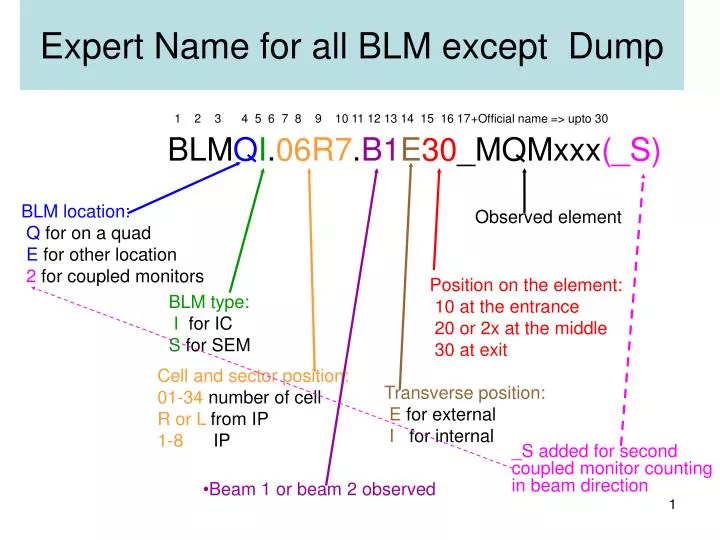 expert name for all blm except dump