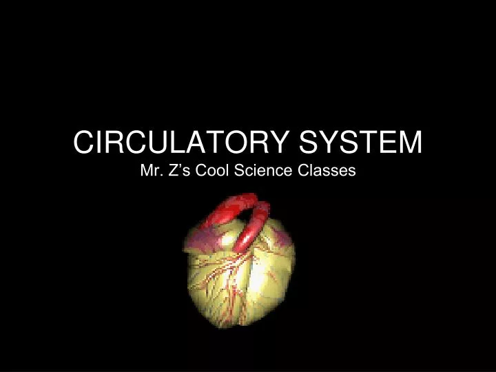 circulatory system mr z s cool science classes