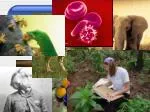 BIOLOGY - slide 1