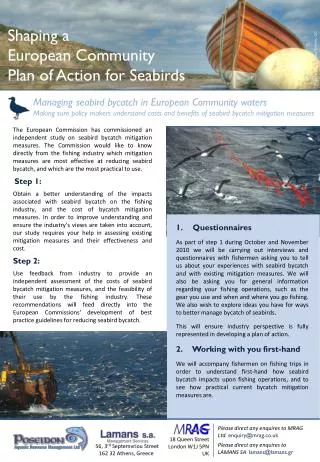 Shaping a European Community Plan of Action for Seabirds
